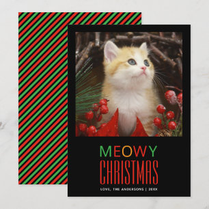 Fröhliche Weihnachten Katzenfoto Tierliebhaber Süß