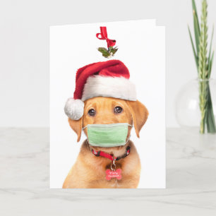 Fröhliche Weihnachten Labrador Welpe mit Gesichtsm