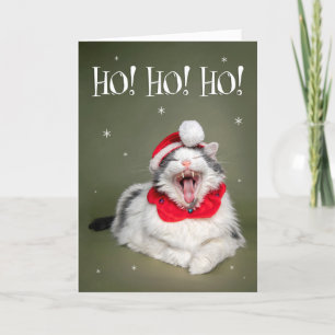 Fröhliche Weihnachten Lustige Katze Sagt Ho Ho Ho