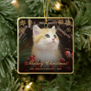 Fröhliche Weihnachten Süße Katze Haustier Foto Fau Keramikornament