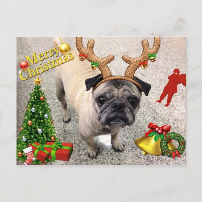 Fröhliche X'mas Postkarte Machi (Vorderseite)