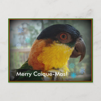 Fröhlicher Caique-Mas! Postkarte