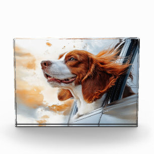 Fröhlicher Hund im Wind Kunstprint Fotoblock