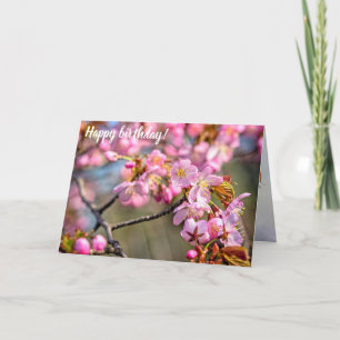 Fröhlicher Kaskade von Sakura-Blume an einem Frühl Karte