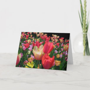 Fröhlicher Muttertag mit Tulips Karte