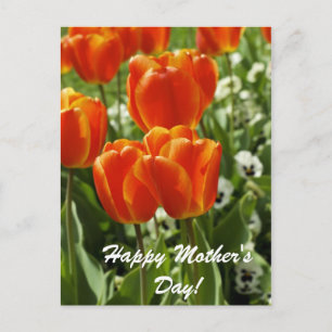 Fröhlicher Muttertag Postkarte