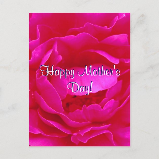 Fröhlicher Muttertag Rosa Rose Postkarte (Vorderseite)