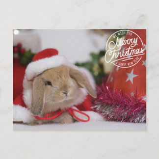 Fröhlicher Weihnachts-Hase im Santa-Kostüm Feiertagspostkarte