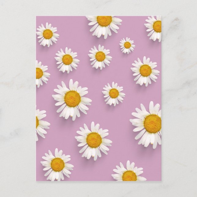 Fröhliches Daisy-Muster auf rosa Hintergrund Postkarte (Vorderseite)