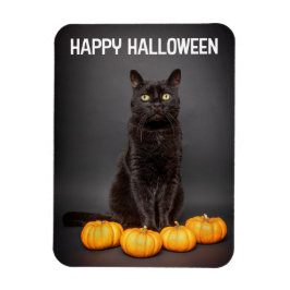 Fröhliches Halloween für alle schwarzen Katzen mit Magnet