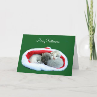 Fröhliches Kittenmas Feiertagskarte