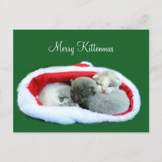 Fröhliches Kittenmas Feiertagspostkarte