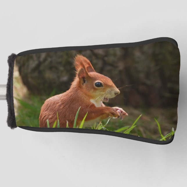 Fröhliches Rotes Eichhörnchen Golf Headcover (Vorderseite)