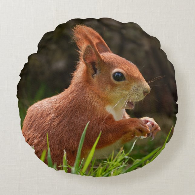 Fröhliches Rotes Eichhörnchen Rundes Kissen (Vorderseite)