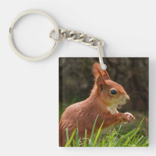 Fröhliches Rotes Eichhörnchen Schlüsselanhänger