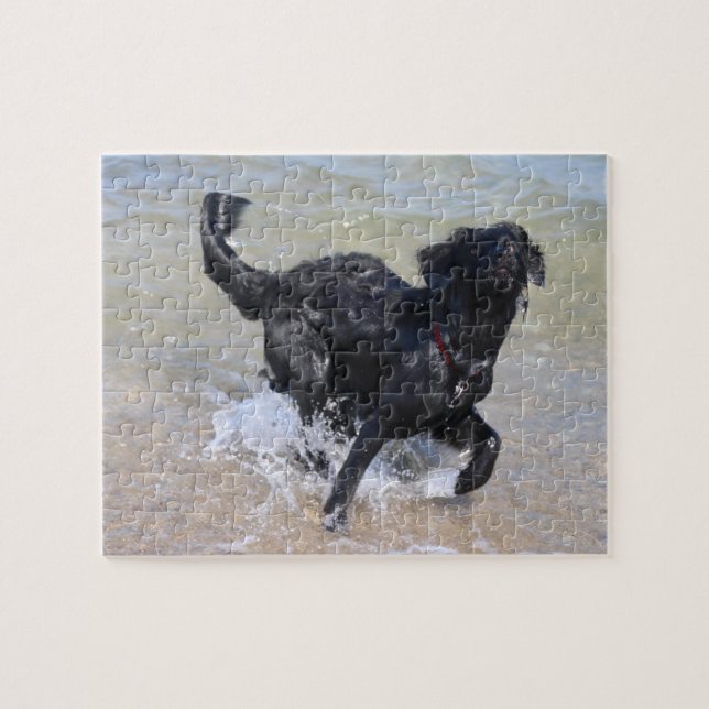 Frolcking Dog | Schwarzer Labrador-Splashing in Wa (Horizontal)