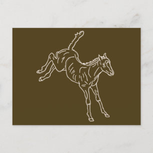 Frolcking Horse Foal - transparente Linie. Postkarte