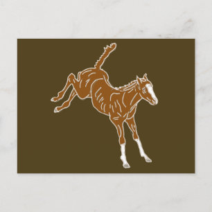 Frolcking Horse Foal - transparente ungefärbte Far Postkarte