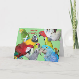 From the Flock Birthday Karte