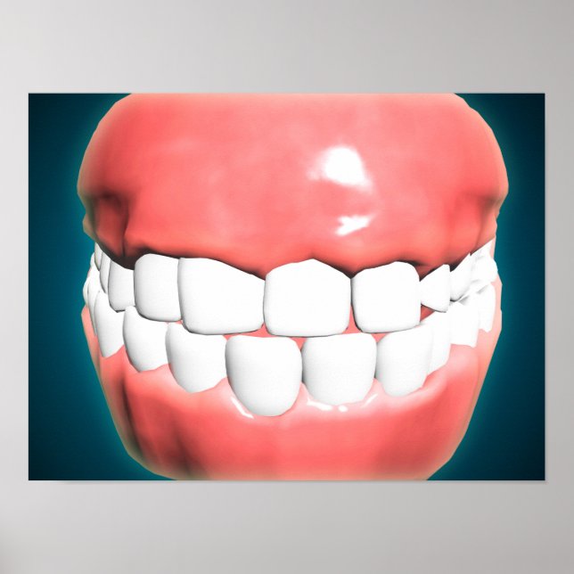 Front View Of Human Mouth With Teeth And Gums Poster (Vorne)