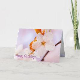 Frontalansicht der Sakura-Blume in der Frühjahrssa Karte