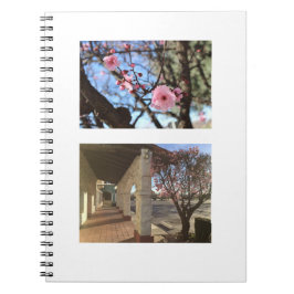 Frontier Village Floral Bliss Notebook Notizblock
