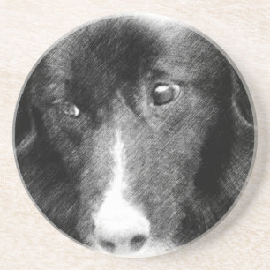 Frontière Collie Face Chien Dessous de verre anima