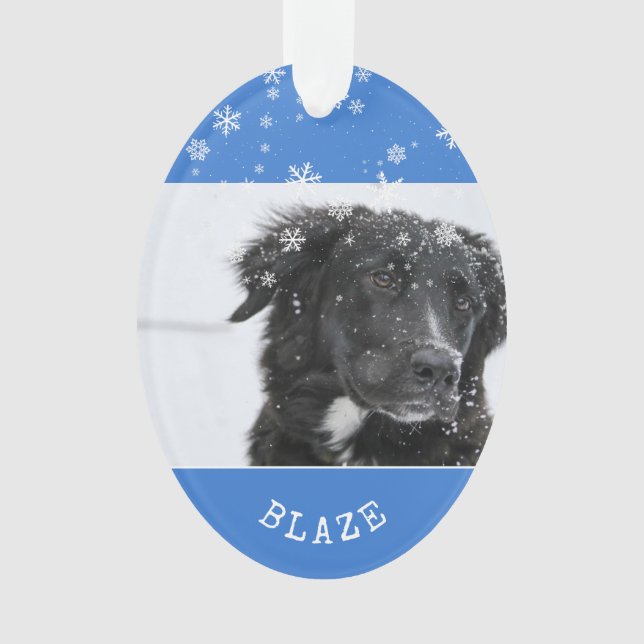 Frontière Collie Noël Photo personnalisée pour ani (devant)