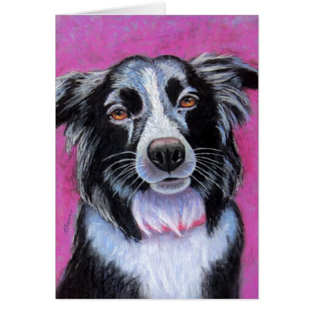 Frontière Moon Chien Collie (Devant)