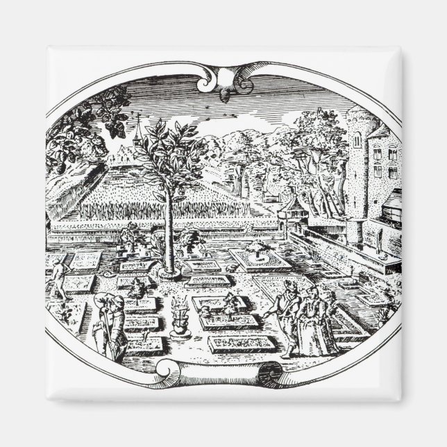 Frontispiece von 'The Herball', von John Gerard ( Magnet (Vorne)