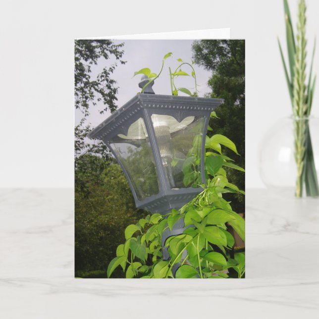"Frontyard Streetlight" Get Well Card Karte (Vorderseite)