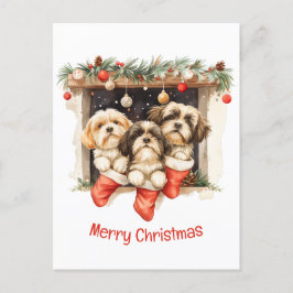 Frory Christmas Shih Tzu Dogs Postkarte
