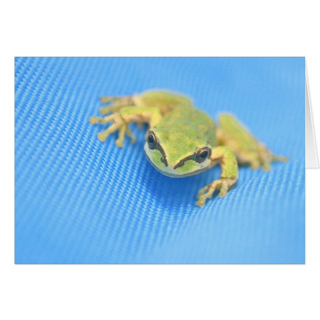 Frosch (Vorderseite (Horizontal))