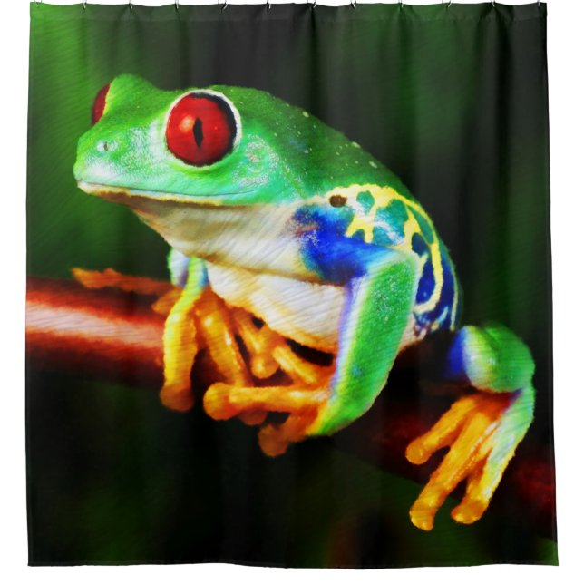Frosch 1 duschvorhang (Vorderseite)