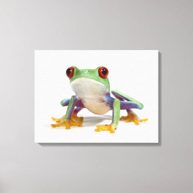 Frosch 2 leinwanddruck (Vorderseite)