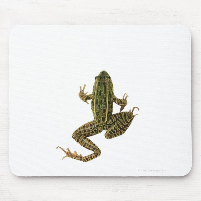 Frosch 2 mousepad (Vorne)