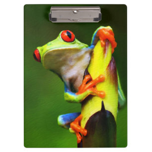 Frosch 2 Zwischenablage Klemmbrett