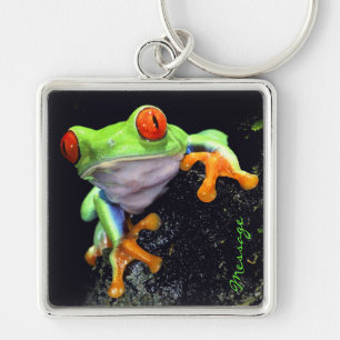 Frosch 3 Schlüsselanhänger