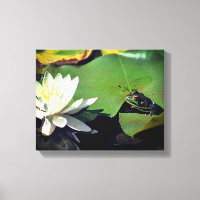 Frosch Admiring Lotus Water Lily Blume Leinwanddruck (Vorderseite)