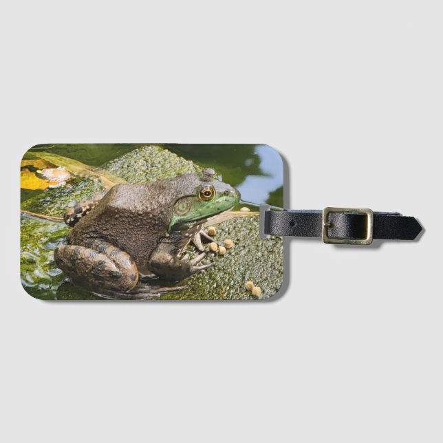 Frosch - alter Knacker Gepäckanhänger (Vorderseite (Horizontal))