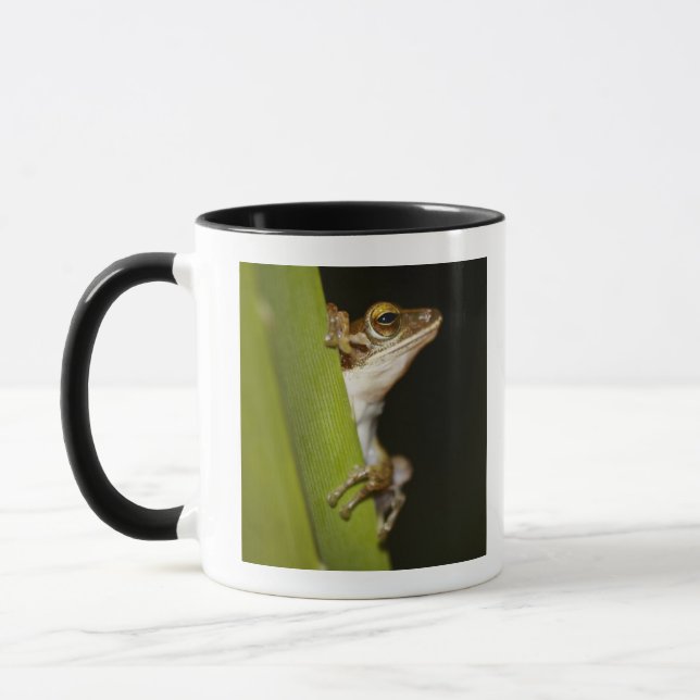 Frosch auf Blatt im Profil Tasse (Links)