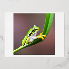 Frosch auf Blatt-Postkarte Folien Feiertagspostkarte