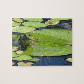 Frosch auf einem Lilien-Auflage-Puzzlespiel