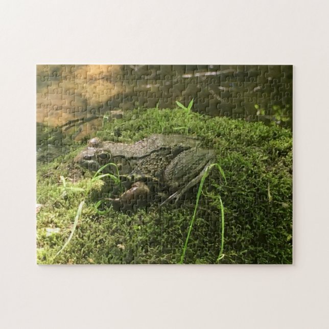 Frosch auf einem Mossy Rock Foto grün und braun (Horizontal)