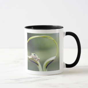 Frosch auf Pflanzenstamm, Biei, Hokkaido, Japan Tasse