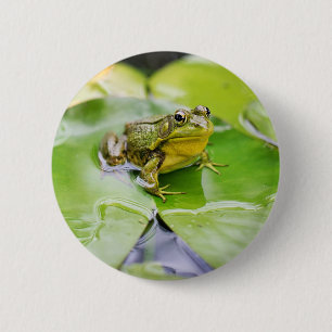 Frosch auf Seerosenblatt Button