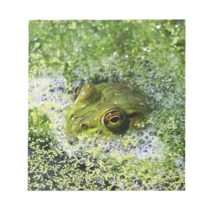 Frosch Augen in einem Teich Notizblock
