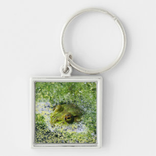 Frosch Augen in einem Teich Schlüsselanhänger