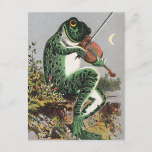 Frosch beim Geigenspielen Vintage-Postkarte Postkarte
