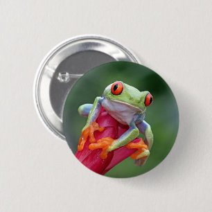 Frosch Button